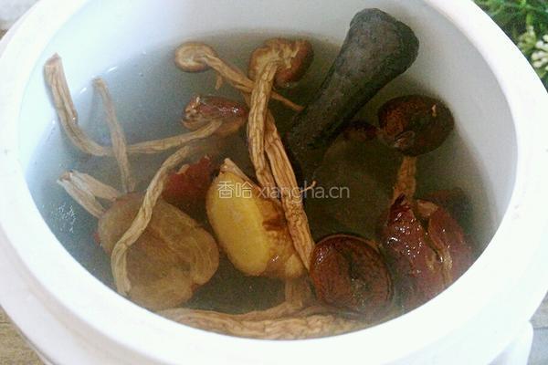茶树菇炖鸡肉的做法图解5