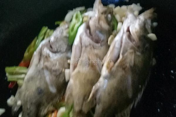 红烧桂鱼的做法图解3