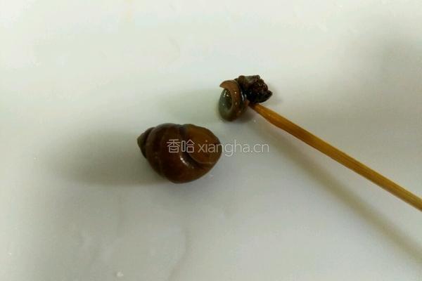 韭菜炒螺丝肉的做法图解4