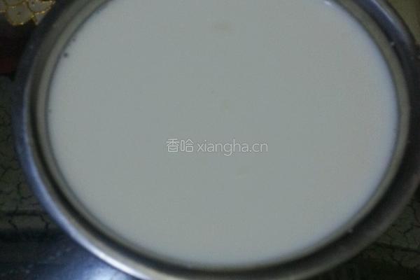 酸奶的做法图解3