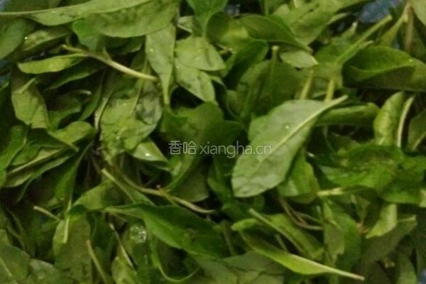 枸杞菜丸子汤的做法图解1