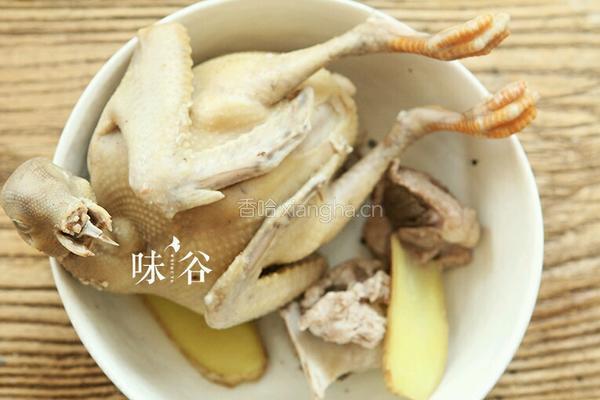 清炖鸽子汤的做法图解3