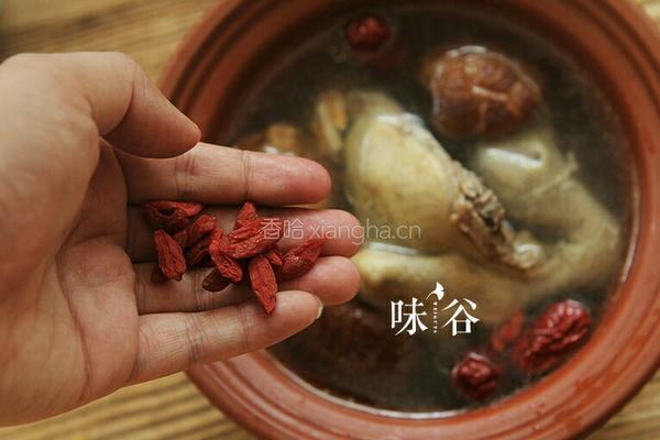 清炖鸽子汤的做法图解5