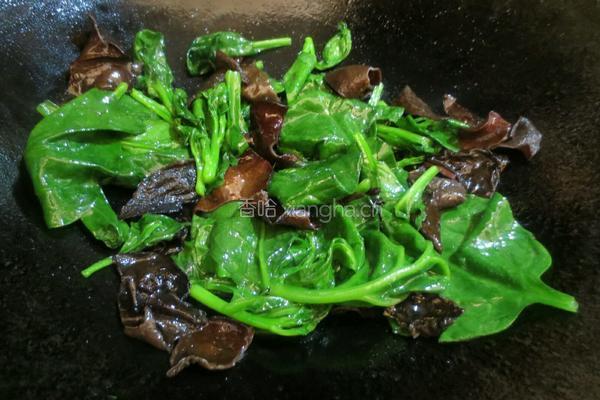 木耳菜炒木耳的做法图解6