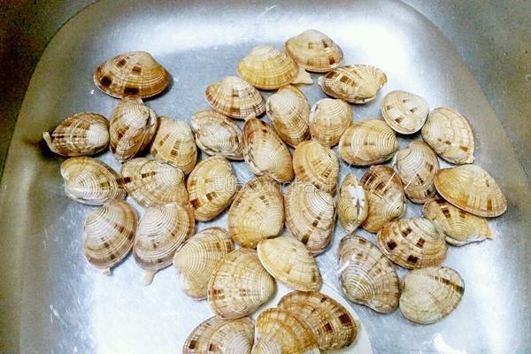 白葡萄酒葱烧蛤蜊的做法图解1