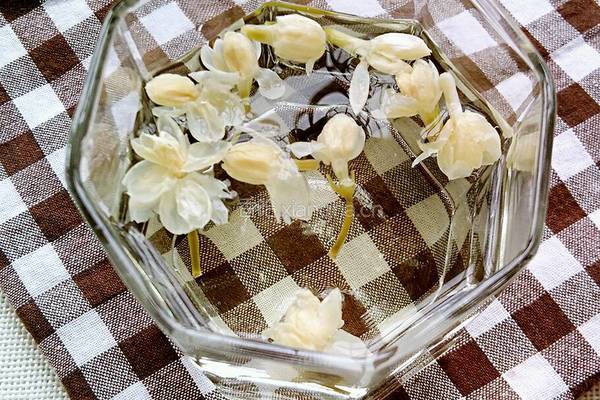茉莉花茶的做法图解4
