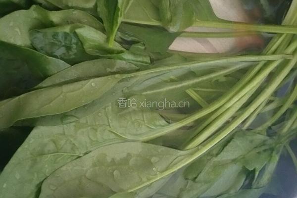 羊肉菠菜汤的做法图解1