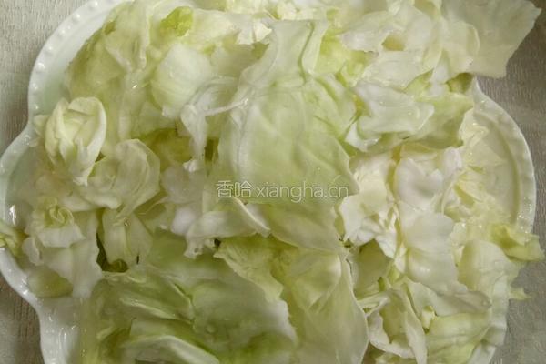 爆炒圆白菜的做法图解1
