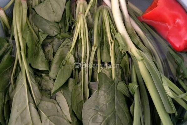 蒜香菠菜碎的做法图解1