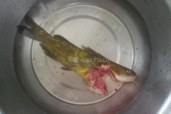 昂刺鱼汤的做法图解1