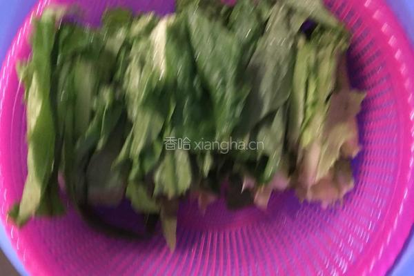 豆鼓油麦菜的做法图解1