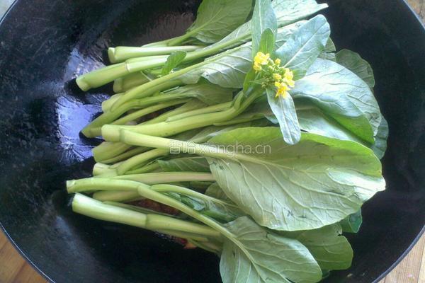海米油菜苔的做法图解3