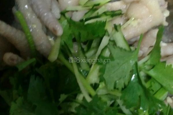 芥末凤爪的做法图解13