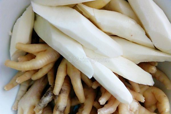 美颜花胶汤的做法图解5