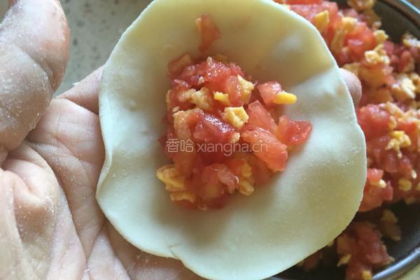 西红柿鸡蛋蒸饺的做法图解13