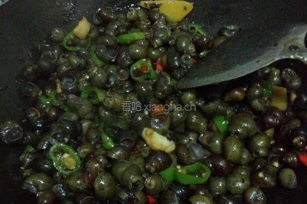 炒田螺的做法图解5