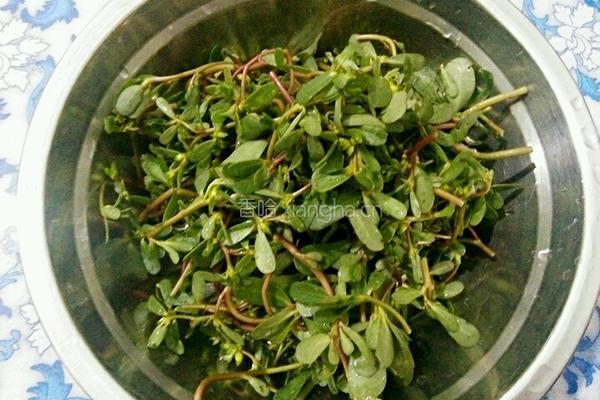 凉拌蚂蚱菜的做法图解1