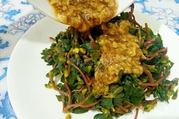 凉拌蚂蚱菜的做法图解8