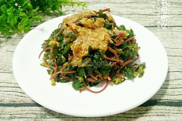 凉拌蚂蚱菜的做法图解9