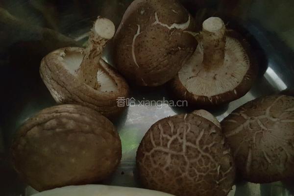 油菜香菇素包子的做法图解4