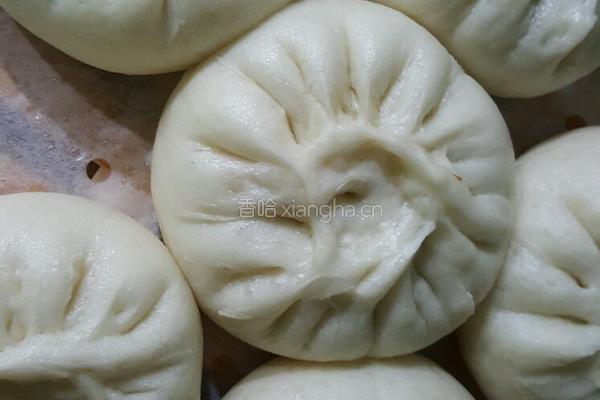 油菜香菇素包子的做法图解8