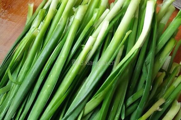 韭菜鸡蛋虾仁饺子馅的做法图解1