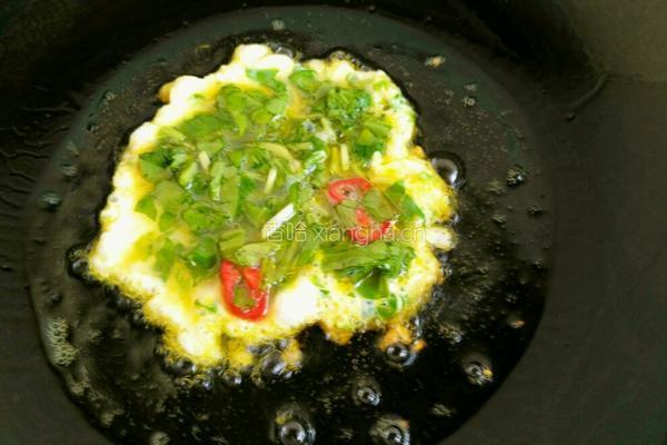 臭菜煎鸡蛋的做法图解10
