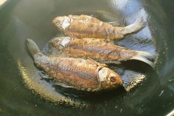 鲫鱼豆腐汤的做法图解4