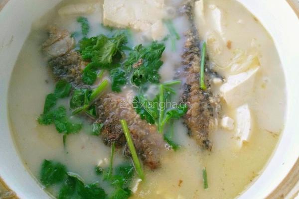 鲫鱼豆腐汤的做法图解10