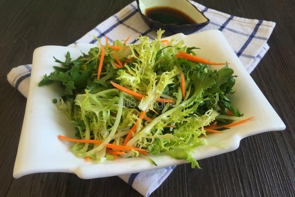 苦菊凉拌的做法图解4