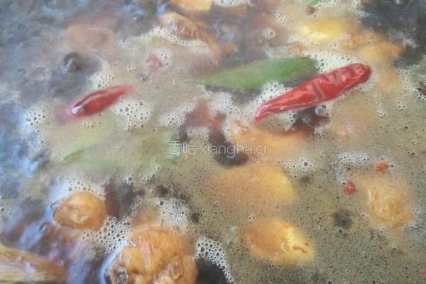 蘑菇炖鸡块的做法图解8