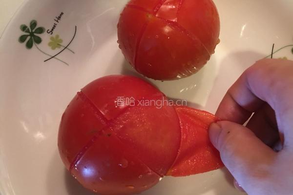 鱼头番茄汤的做法图解5