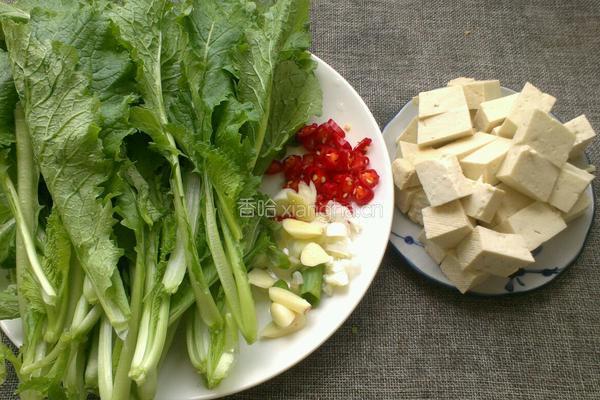 小白菜烧豆腐的做法图解1