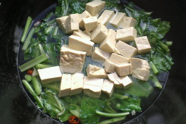 小白菜烧豆腐的做法图解5