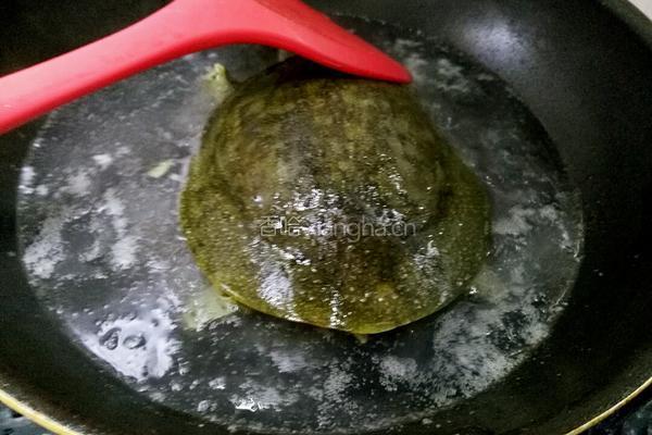甲鱼烧排骨的做法图解6