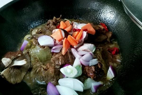甲鱼烧排骨的做法图解19