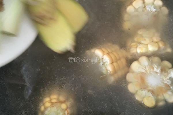 玉米葫芦瓜排骨汤的做法图解4