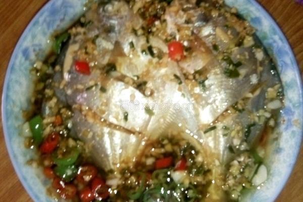 水煮鲳鱼的做法图解5