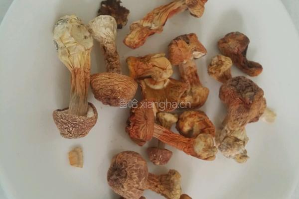 姬松茸炖鸡的做法图解2