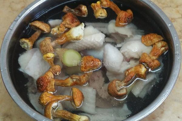 姬松茸炖鸡的做法图解3