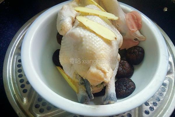 干蒸小公鸡的做法图解6
