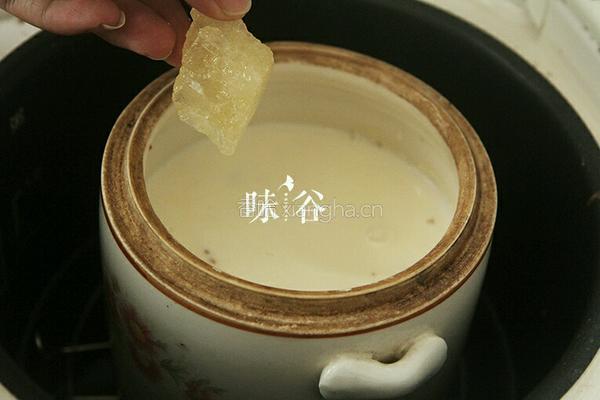 花胶炖鲜奶的做法图解5
