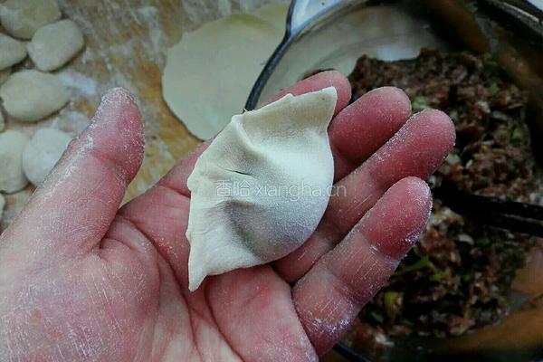 牛肉大葱饺子的做法图解11