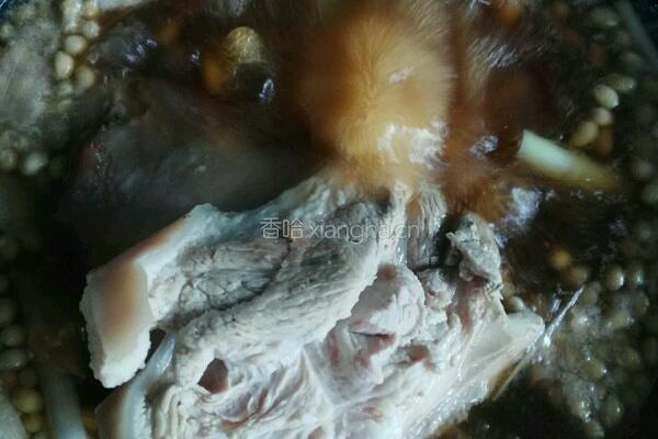 家常焖黄豆肘子的做法图解7