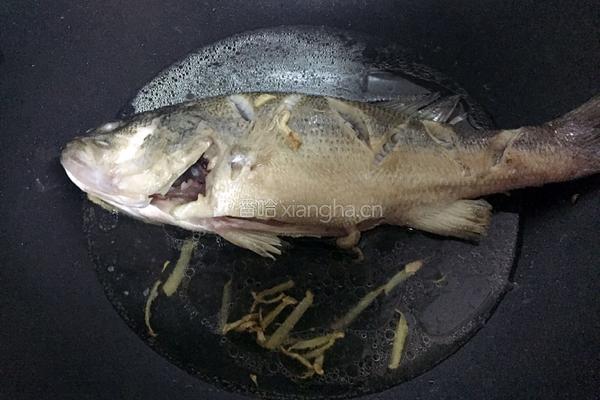 红烧海鲈鱼的做法图解5