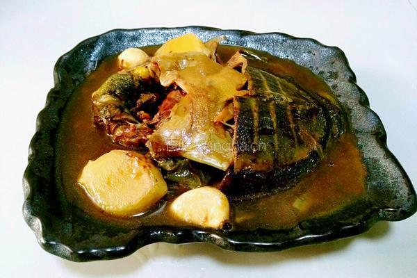 冰糖甲鱼的做法图解13