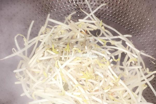 醋溜豆芽的做法图解3