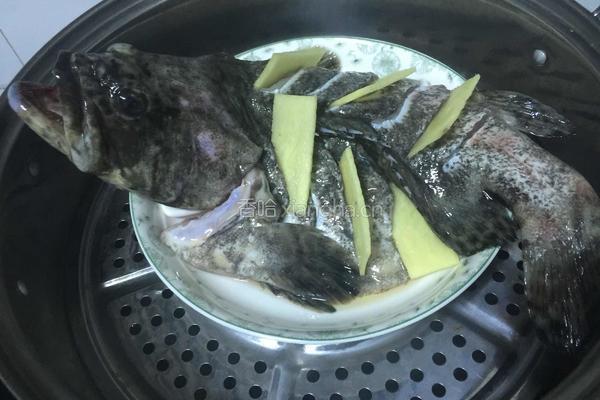 葱油石斑鱼的做法图解5