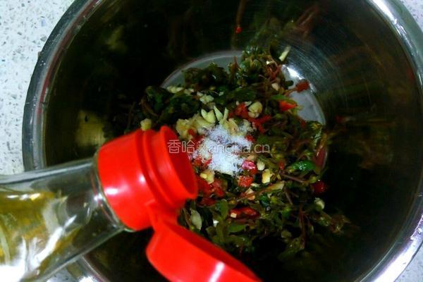 凉拌马齿菜的做法图解10