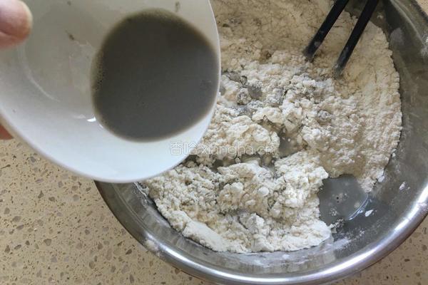 黑豆浆紫甘蓝肉龙的做法图解4